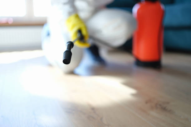 Best Biohazard Mold Removal  in Drumright, OK
