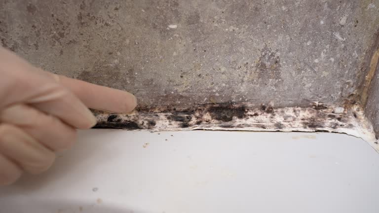 Best Mold Remediation for Healthcare Facilities  in Drumright, OK